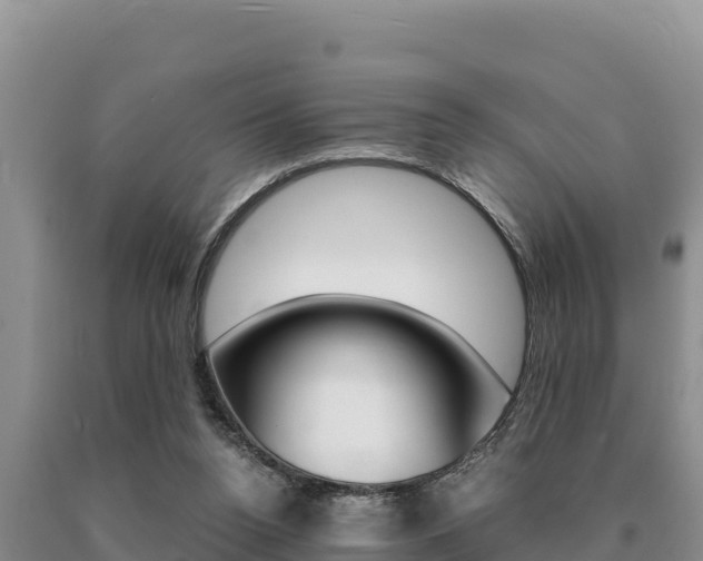 X0000091080160200708061053
