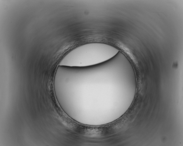 X0000091080161200708061053