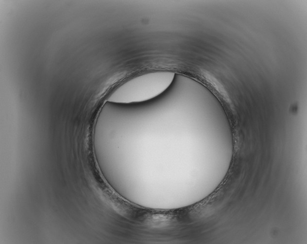 X0000091080163200708061054
