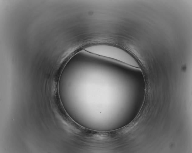 X0000091080164200708061054