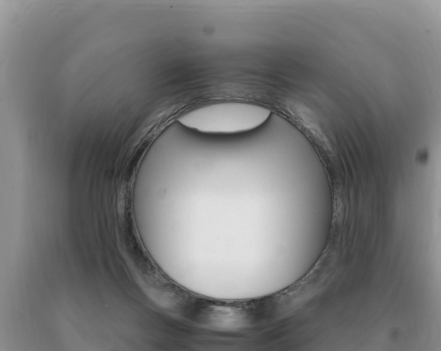 X0000091080167200708061054