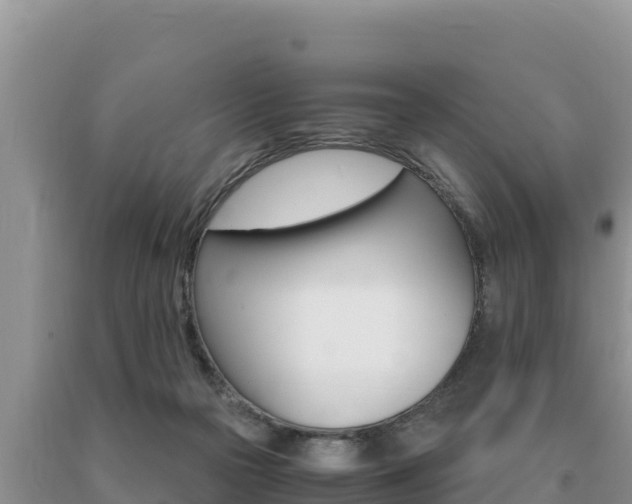 X0000091080169200708061054