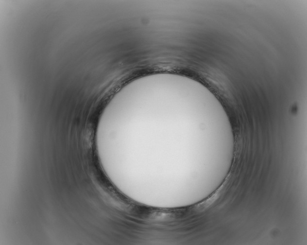 X0000091080174200708061054