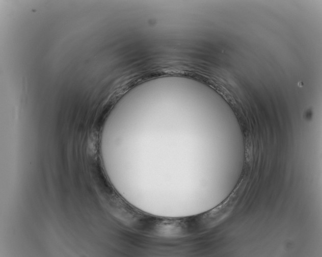X0000091080175200708061054