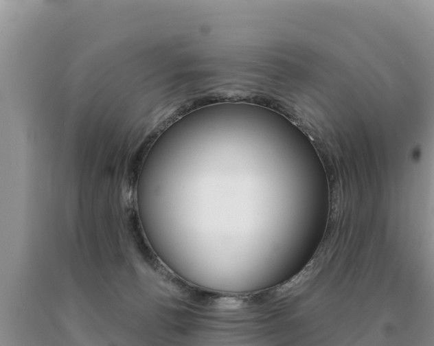 X0000091080176200708061054