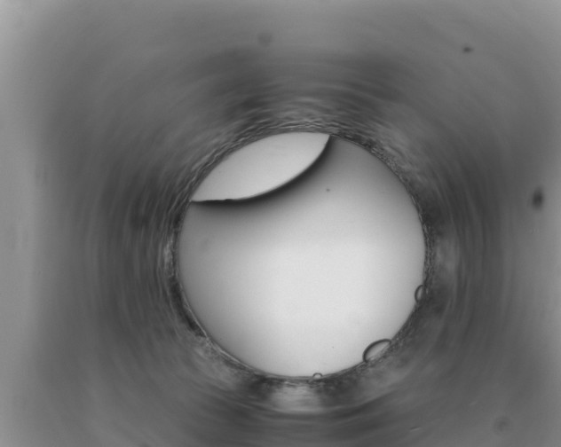 X0000091080177200708061054