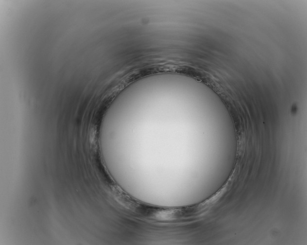 X0000091080178200708061054