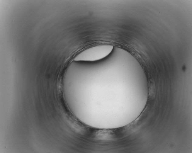 X0000091080179200708061054