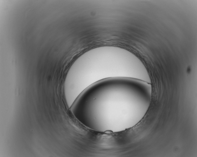 X0000091080180200708061054