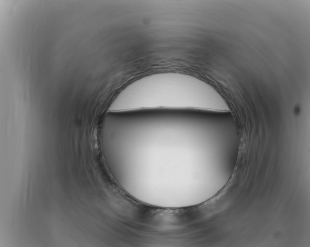 X0000091080182200708061054