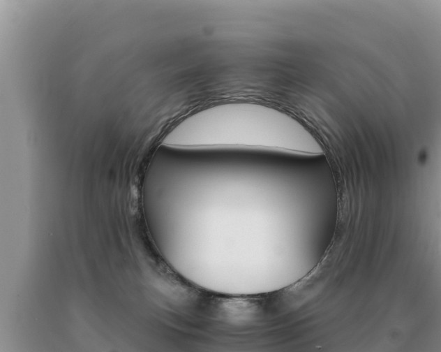 X0000091080183200708061054