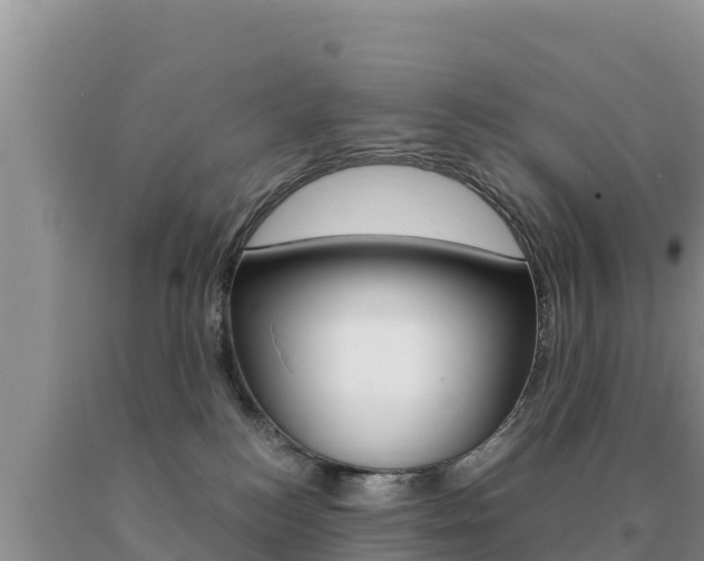 X0000091080184200708061054