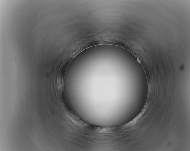 X0000091080186200708061054
