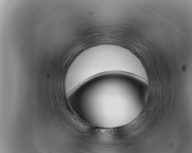 X0000091080188200708061054