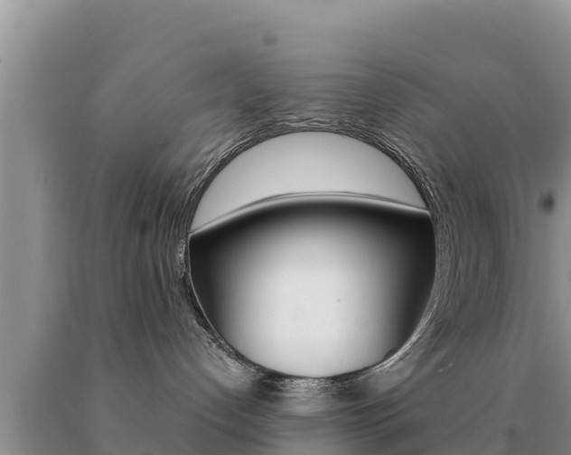 X0000091080192200708061054