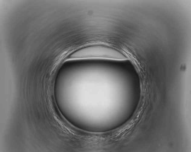 X0000091080193200708061053