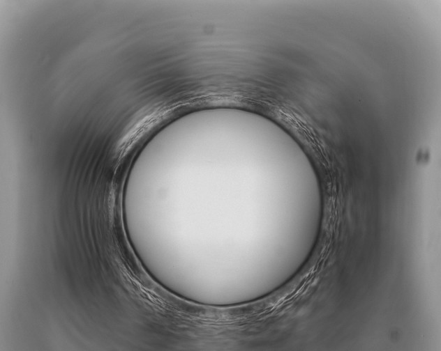 X0000091080194200708061053