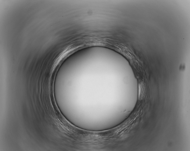 X0000091080195200708061053
