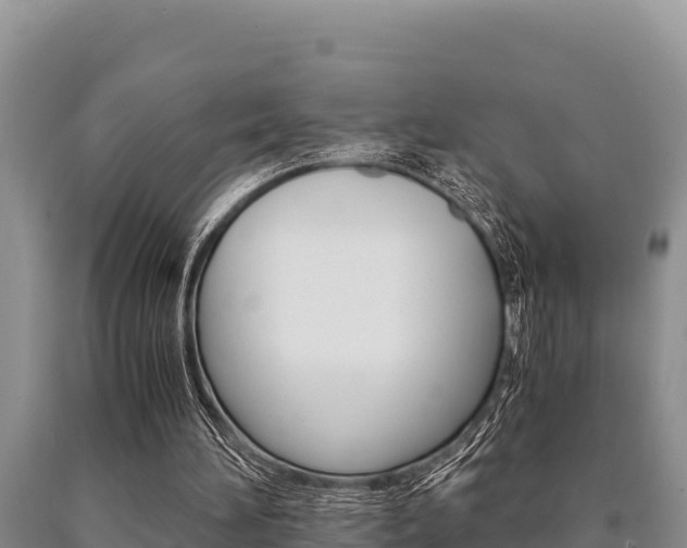 X0000091080196200708061053