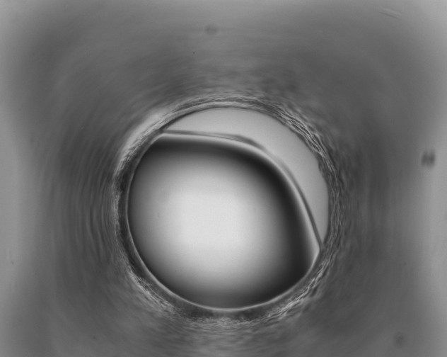 X0000091080197200708061053