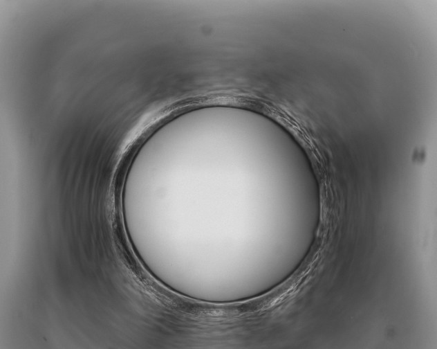 X0000091080198200708061053