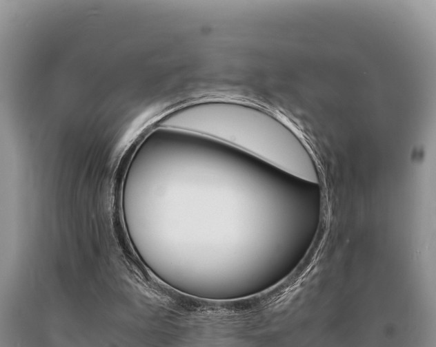 X0000091080199200708061053