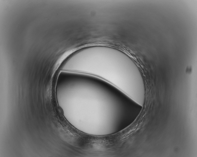 X0000091080200200708061053