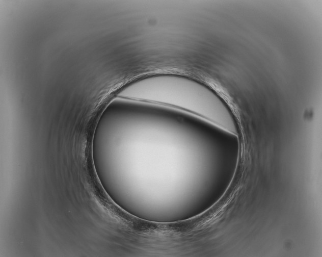 X0000091080201200708061053