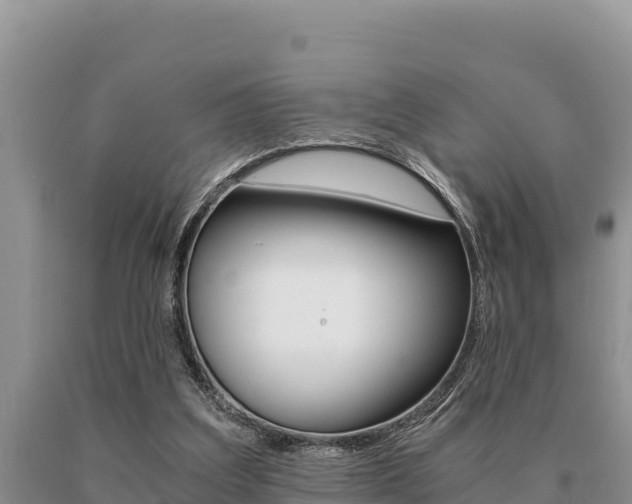 X0000091080203200708061053