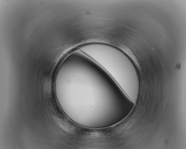 X0000091080204200708061053