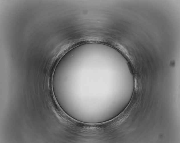 X0000091080205200708061053
