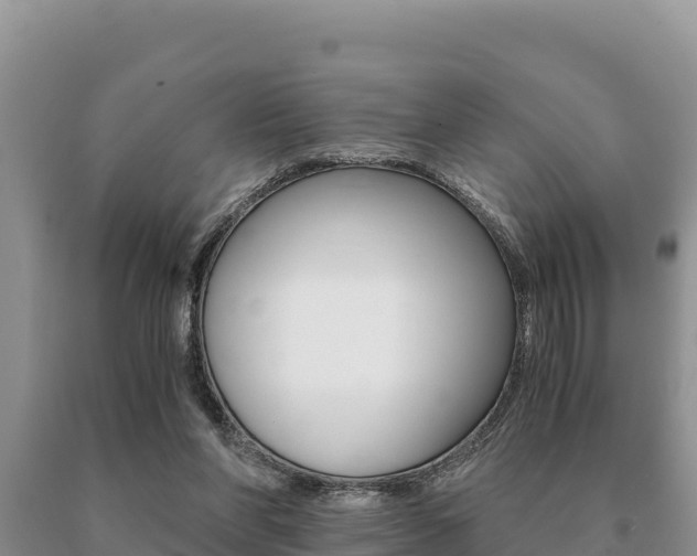 X0000091080206200708061053