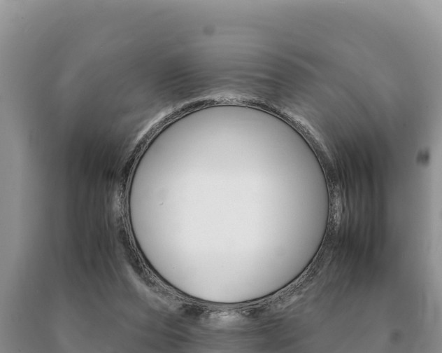 X0000091080208200708061053