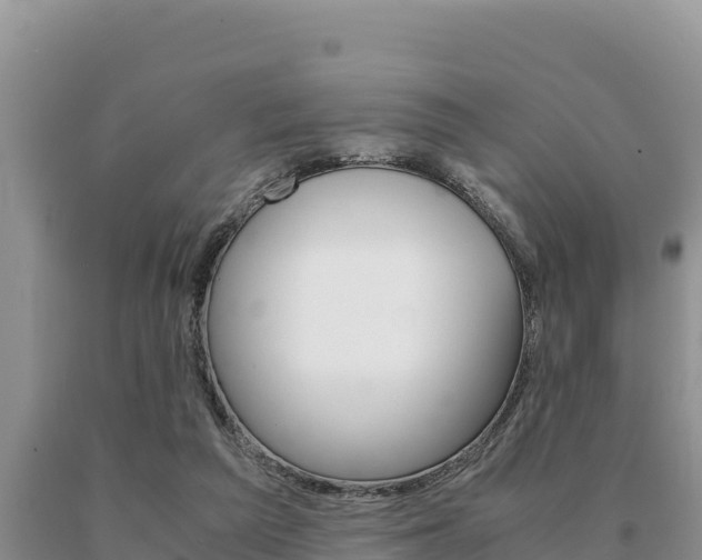 X0000091080209200708061053