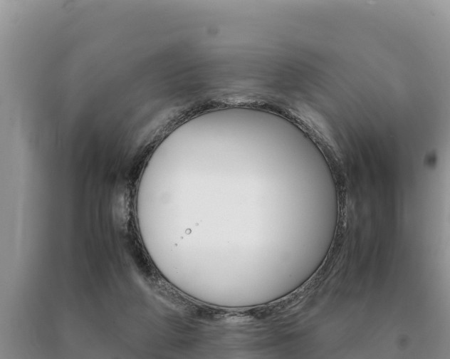X0000091080210200708061053