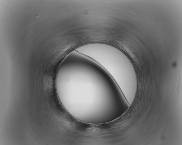 X0000091080211200708061053