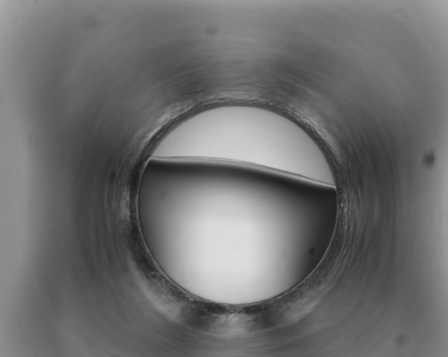 X0000091080212200708061053