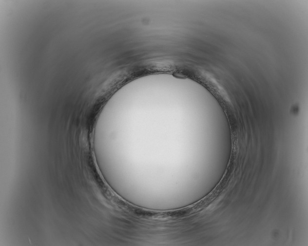 X0000091080213200708061053