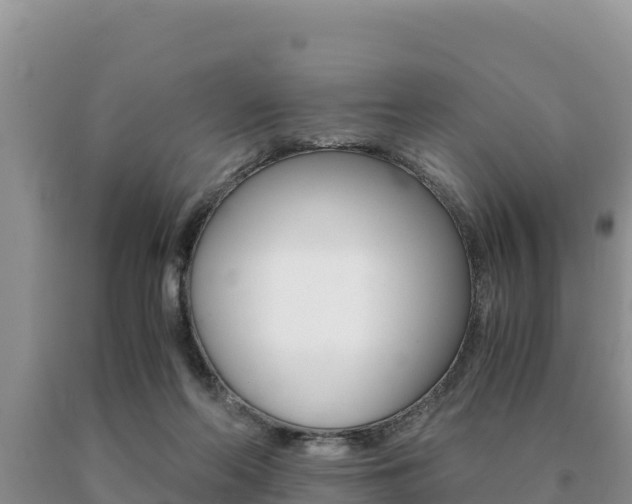 X0000091080214200708061053