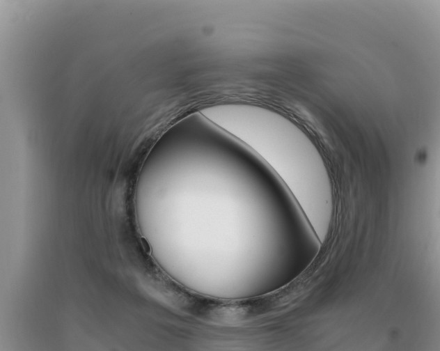 X0000091080217200708061053