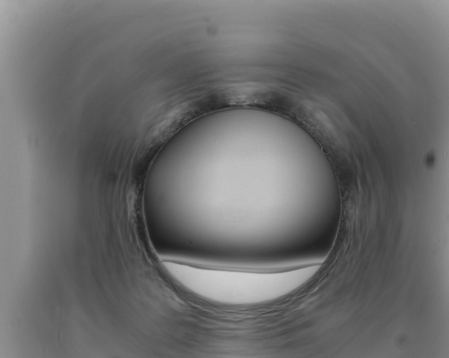 X0000091080219200708061053