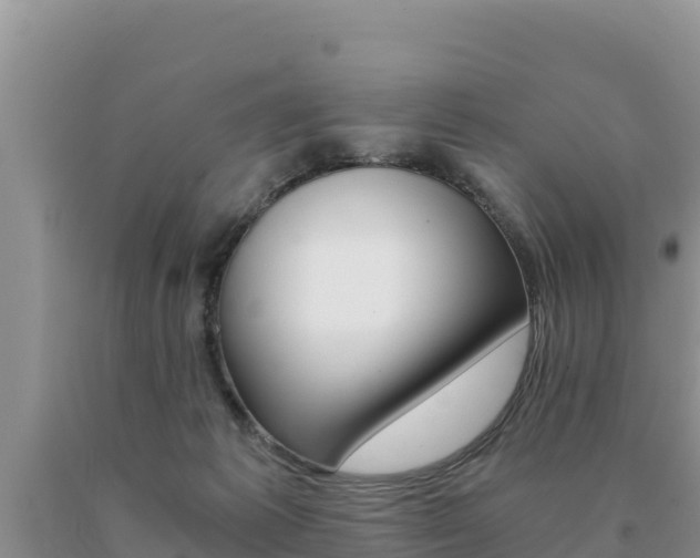 X0000091080221200708061053