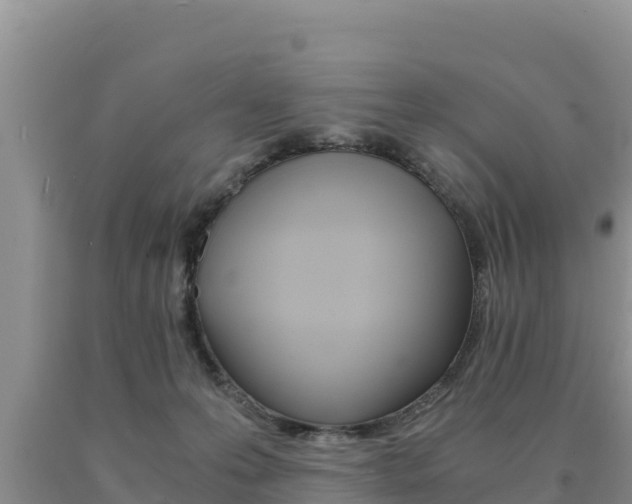 X0000091080223200708061053