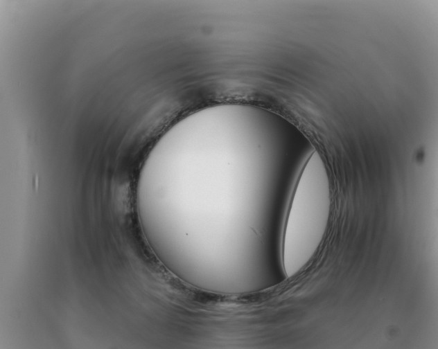 X0000091080224200708061053