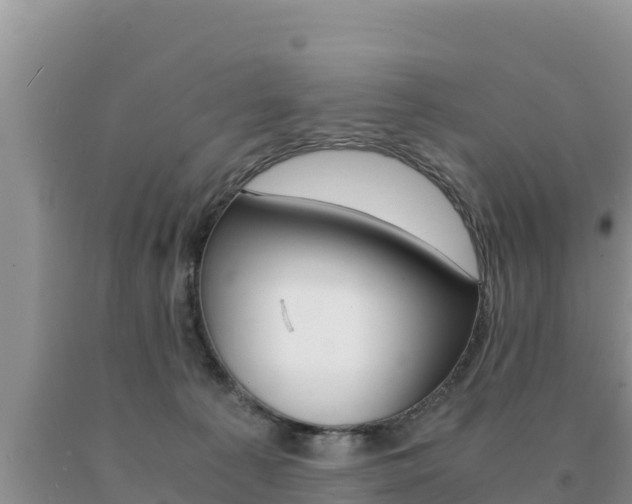 X0000091080225200708061053