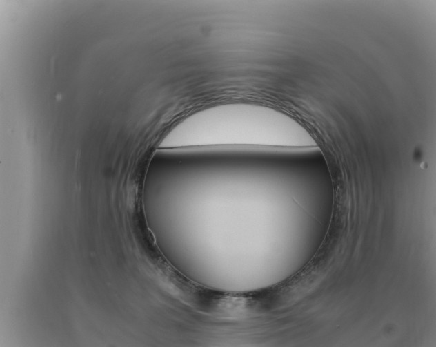 X0000091080227200708061053