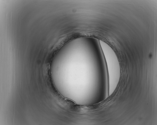 X0000091080229200708061053