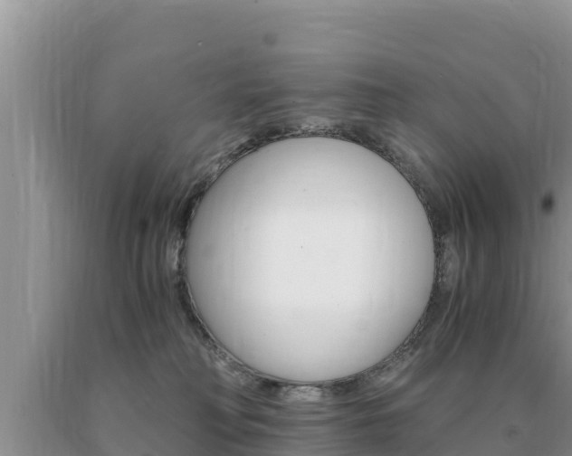 X0000091080230200708061053