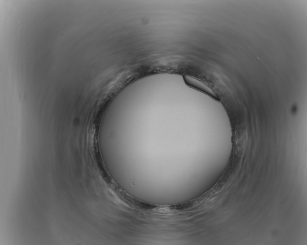 X0000091080231200708061053