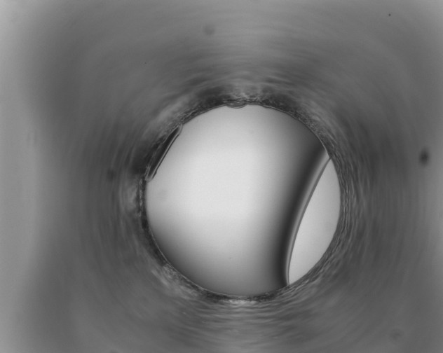 X0000091080233200708061053